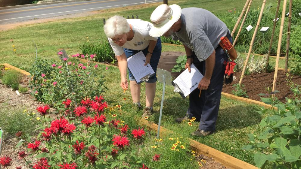 Penn State Master Gardener Programs Promote Pollinator Populations ...